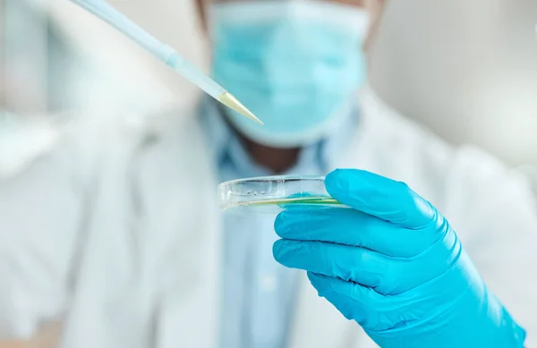 Cropped Shot Unrecognisable Scientist Holding Petri Dish Using Dropper Laboratory — Zdjęcie stockowe