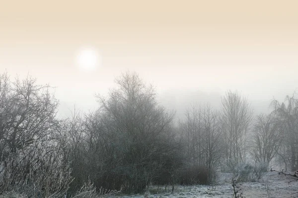 Snow Covered Landscape Winter Day Misty Sky Background Copyspace Frost — ストック写真