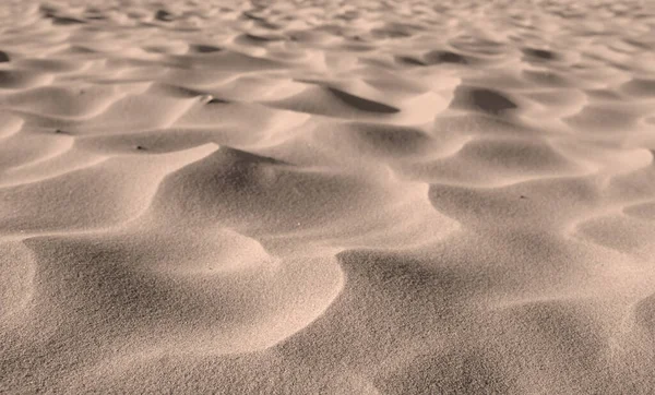 Grains of desert sand from dunes on windy beach in nature with copyspace. Closeup of scenic landscape outdoors with rough and rippled surface texture. Coastal region to explore for travel and tourism.