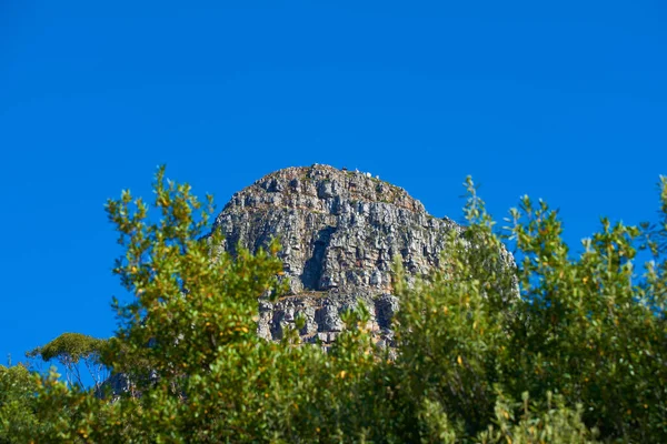 Panorama Des Lions Head Tafelberg Nationalpark Kapstadt Südafrika Mit Kopierraum — Stockfoto