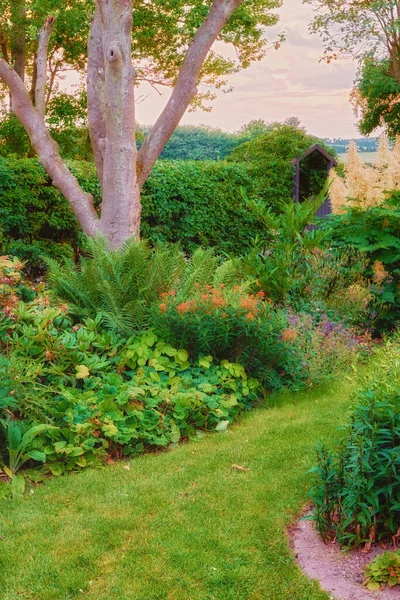 Scenic View Lush Private Garden Home Vibrant Growing Flora Trees —  Fotos de Stock