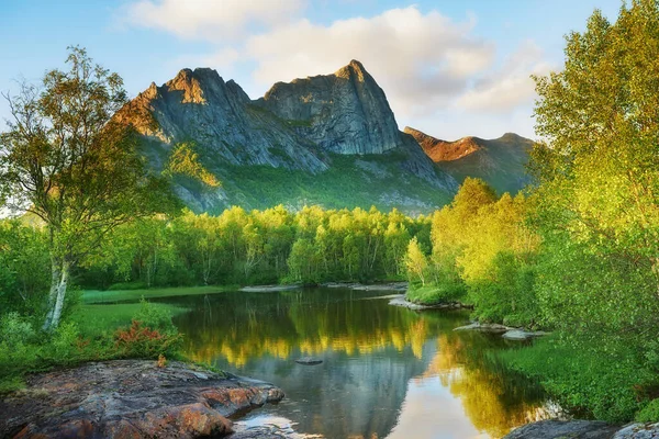Nature Forest Landscape Nordland Mountain Background Quiet Calm Lake Surrounded — Fotografia de Stock