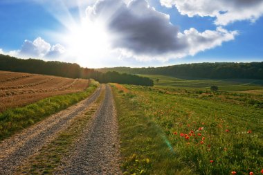 Güneşin doğuşunda bulutlu mavi gökyüzü olan güzel bir çiftlik manzarası. Büyük, uçsuz bucaksız bir arazi, yemyeşil çimenler ve kırmızı çiçekler büyüyor. Arkasında parlak güneş parlayan bir tepe.