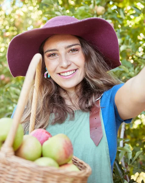 Cheerful farmer harvesting juicy organic fruit in season to eat. Portrait of a happy woman taking selfies while holding basket of fresh picked apples on sustainable orchard farm outside on sunny day.
