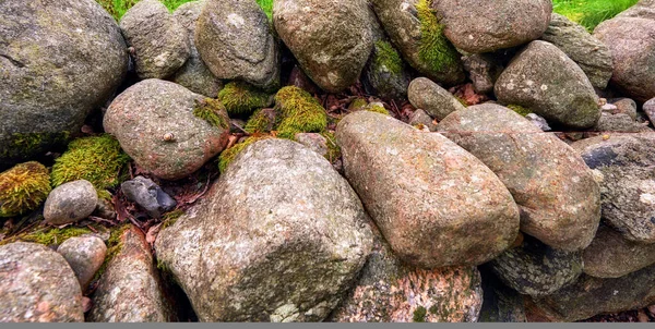Closeup Many Big Rocks Covered Lichen Landscape Green Moss Contrasting — Stok fotoğraf