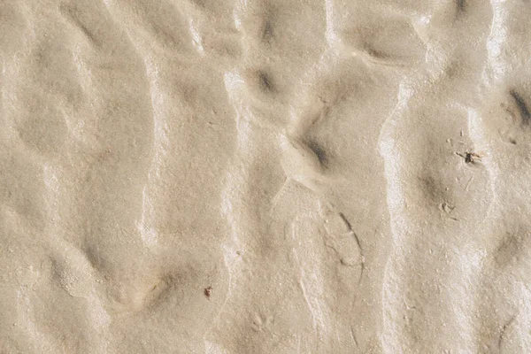 Closeup of textured brown surface with copyspace. Details and patterns of sand or ground with copyspace. Zoom in on shapes in the sand, texture and rough surface level flooring, abstract background.