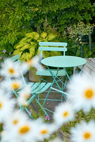 Picnic table and chairs in a lush garden at a peaceful park or tranquil courtyard surrounded by daisy flowers outdoors. Relaxing, calm and soothing environment to enjoy a quiet and pleasant break.