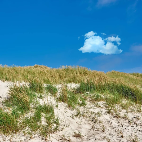 Paisaje Playero Dunas Arena Bajo Cielo Azul Copia Espacio Costa —  Fotos de Stock