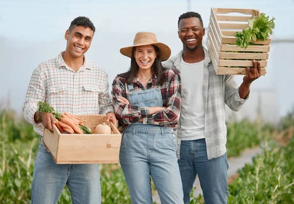 Portrait Group People Holding Crates Fresh Produce While Working Together — Stok fotoğraf