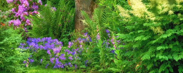 Landscape Flowers Green Forest Summer Purple Plants Growing Lush Botanical — Zdjęcie stockowe