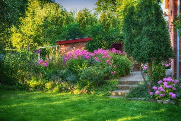 Paysage Fleurs Roses Dans Jardin Luxuriant Été Plantes Pourpres Poussant — Photo