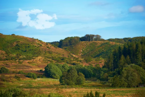 Hills Green Grass Trees Plants Cloudy Summer Day Beautiful Landscape — Stockfoto