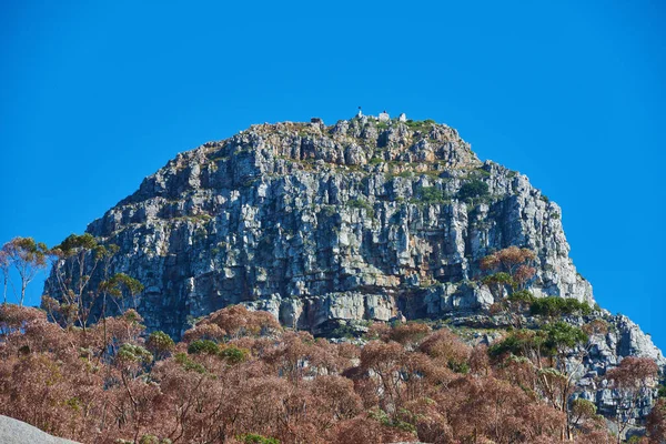 Big Mountain Brown Green Trees Background Clear Blue Sky Copyspace — 스톡 사진