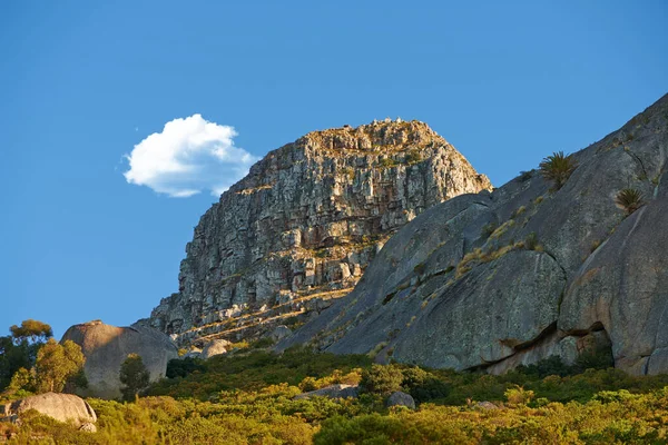 Landschap Van Leeuwen Hoofd Berg Kaapstad Zuid Afrika Zomer Rock — Stockfoto