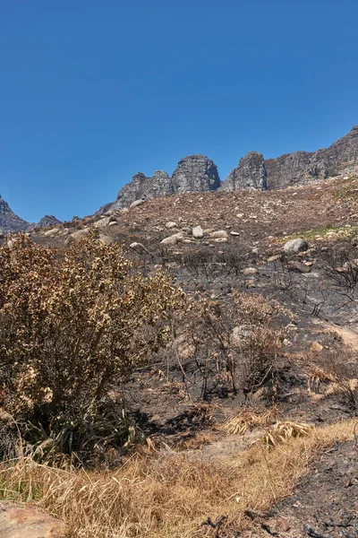 Aftermath Natural Mountain Landscape Destroyed Wildfire Destruction Table Mountain Cape — ストック写真