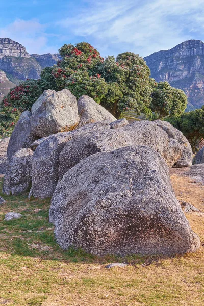 Big Rocks Green Nature Plants Trees Scenic View Large Stone — Stockfoto