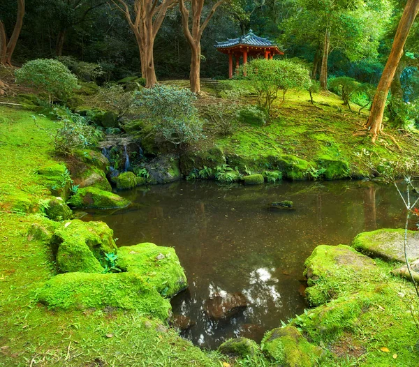 Göleti Japon Tapınağı Olan Yosunlu Bir Bahçe Sakin Bir Ormandaki — Stok fotoğraf