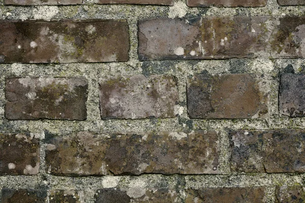 Closeup Old Faded Dirty Brick Wall Copyspace Damaged Rough Brick — Fotografia de Stock