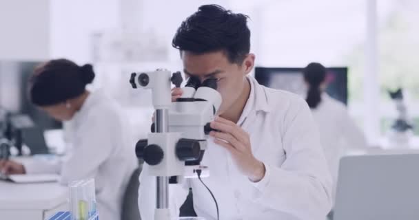 Chemik Dívá Lékařské Vzorky Při Provádění Experimentu Sběru Dat Pohledný — Stock video