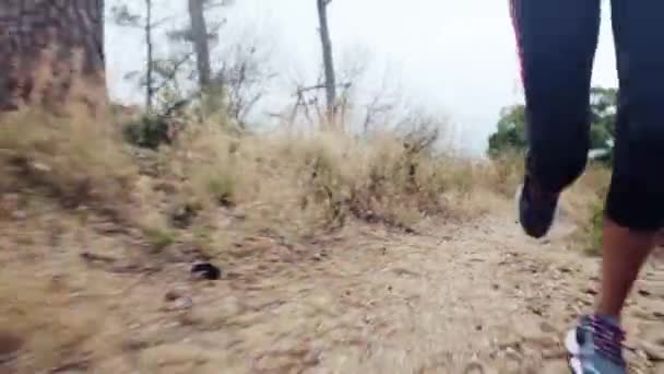 Video Footage Woman Jogging Dirt Path — Vídeos de Stock