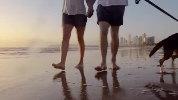 Video Footage Couple Going Walk His Dog Beach Sunset — Vídeo de Stock