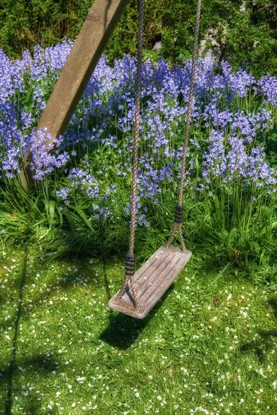 A space to play in a backyard for active children wanting to have fun and play. Empty swing in a lush garden with green grass and perennial purple cranesbill blossoms growing and thriving outside