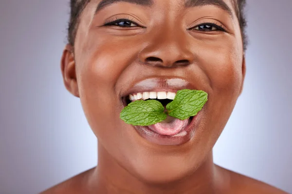 Studio Shot Beautiful Young Woman Posing Mint Leaves Her Mouth — Stockfoto