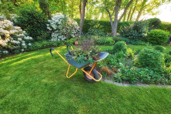 Wheelbarrow Perfect Green Lawn Cultivated Country Garden Used Garden Work — 图库照片