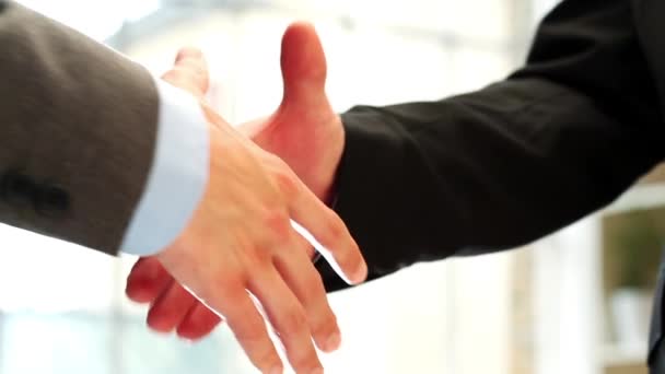 Video Footage Two Businessmen Shaking Hands — Stock video