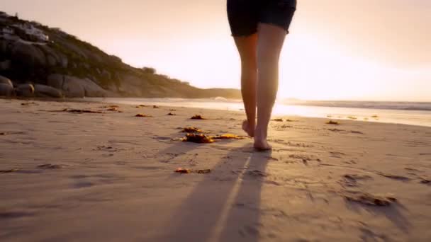 Video Footage Woman Taking Stroll Beach — Stockvideo