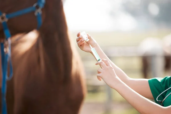 Cropped Shot Unrecognisable Veterinarian Standing Alone Preparing Give Horse Injection — Photo