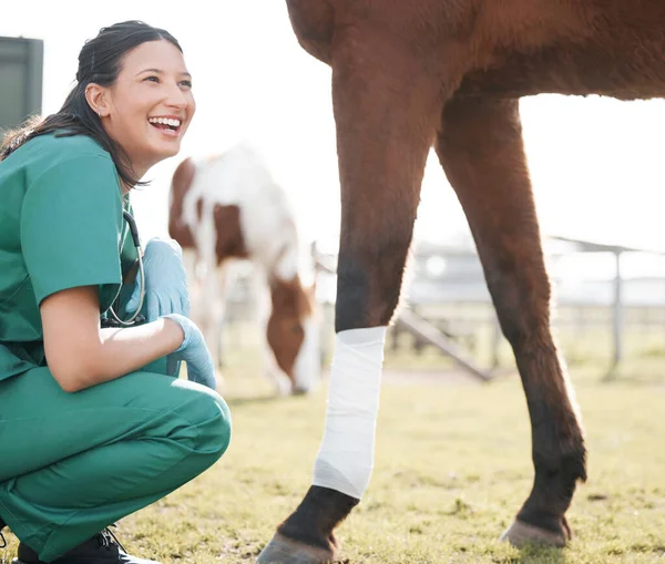 Shot Attractive Young Veterinarian Crouching Wrapping Bandage Horses Leg Farm — Zdjęcie stockowe