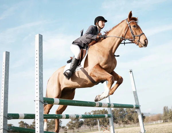 Cavalo De Baía Com Garota De Jóquei Pulando Sobre Um Obstáculo. Um