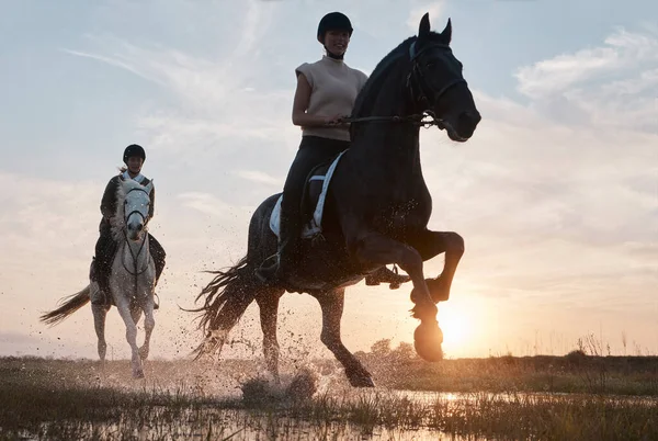 Shot Two Young Women Out Horseback Riding Together — ストック写真