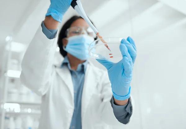 Shot Young Female Scientist Inserting Sample Petri Dish — Stock fotografie