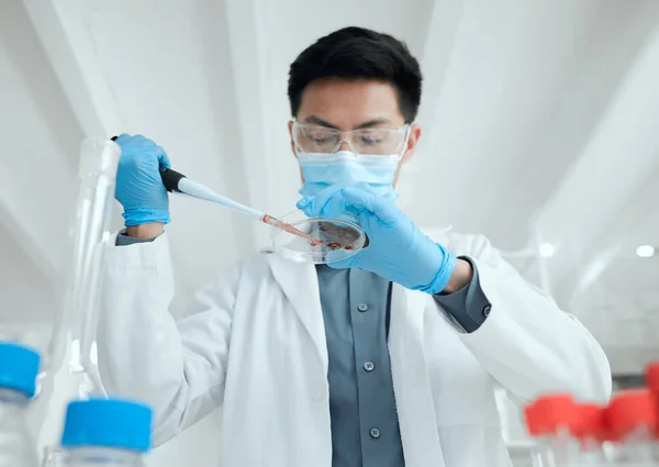 Shot Young Male Scientist Inserting Sample Petri Dish — Stock Fotó