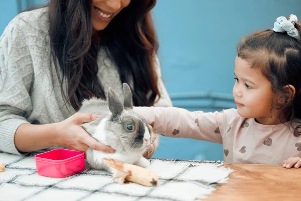 Aufnahme Einer Mutter Und Ihrer Tochter Die Ihr Haustier Kaninchen — Stockfoto