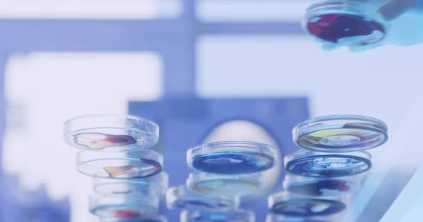 Baixo Ângulo Cientista Laboratório Colocando Placas Petri Varíola Mesa Vidro — Vídeo de Stock