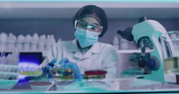 Γυναίκα Επιστήμονας Που Τροποποιεί Και Αναμιγνύει Χημικές Ουσίες Ένα Ερευνητικό — Αρχείο Βίντεο