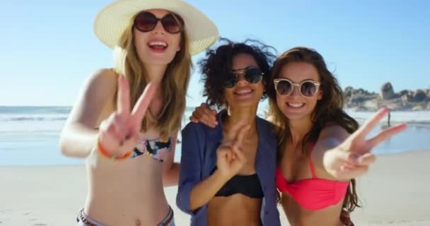 Nagranie Wideo Grupą Przyjaciół Stojących Razem Plaży Pokazujących Gest Znaku — Wideo stockowe