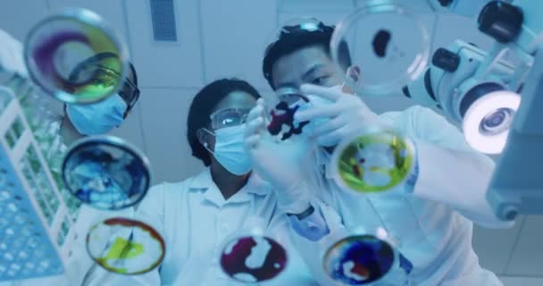 Young Scientists Experimenting Petri Dish Laboratory Diverse Microbiologists Examining Bacteria — Video