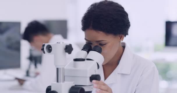 Healthcare Professional Analyzing Samples Researching Vaccine Cure Scientific Health Facility — Vídeo de stock