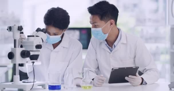 Zwei Mediziner Benutzen Tablette Und Mikroskop Während Sie Eine Virenprobe — Stockvideo