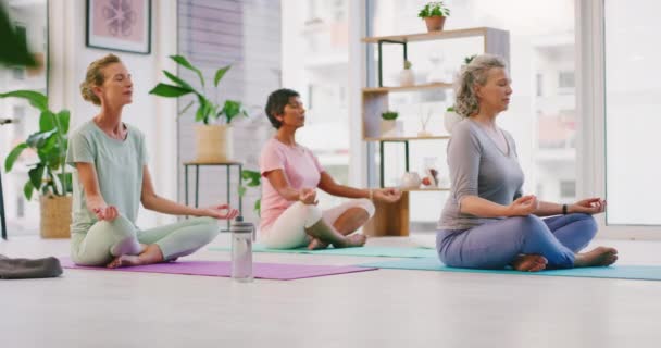 Nilüfer Çiçeğinde Meditasyon Yapan Olgun Kadınlar Yoga Stüdyosunda Beden Eğitimi — Stok video