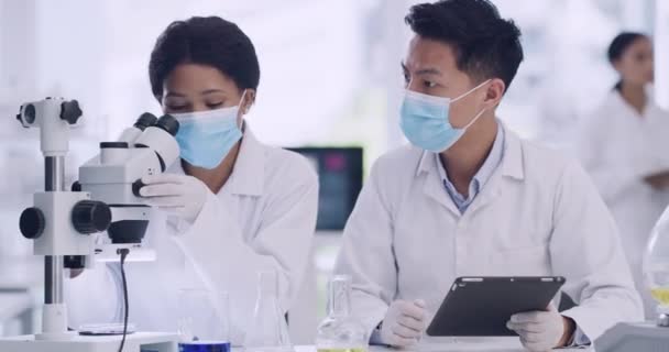 Two Medical Scientists Using Tablet Microscope Check Virus Samples Research — Video Stock