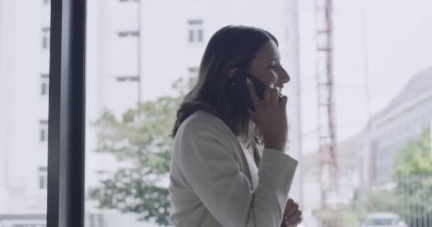 Elegant Lawyer Having Conversation Client Young Business Woman Call Phone — Stock videók