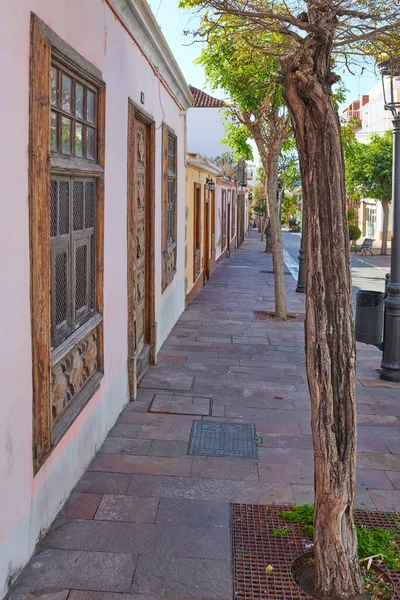 City View Paved Sidewalk Trees Residential Houses Buildings Quiet Street — Stock Fotó