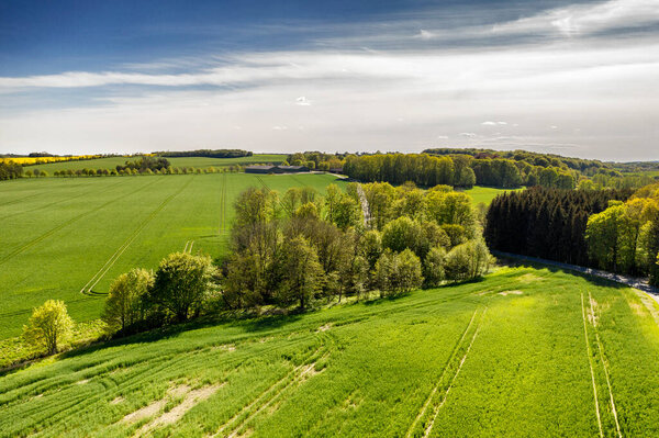 Lush green countryside of Jutland, Denmark with copyspace. Sustainable, organic farm, rural landscape of tranquil grass, bushes and trees. Peaceful woodland with calming, soothing scenic views.