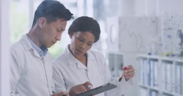 Scientists Using Digital Tablet While Brainstorming Equations Formulas Glass Wall — Vídeos de Stock