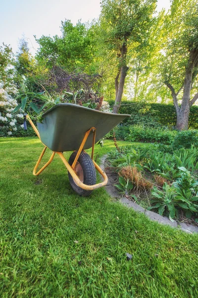 Maintenance equipment on cut fresh green grass in a clean backyard used for gardening, moving plants, vegetations, dry leaves and branches. A wheelbarrow on a lawn in a garden